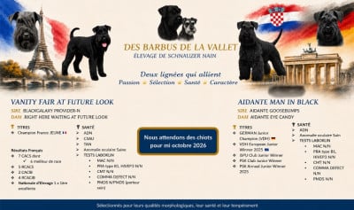 des Barbus de la Vallet