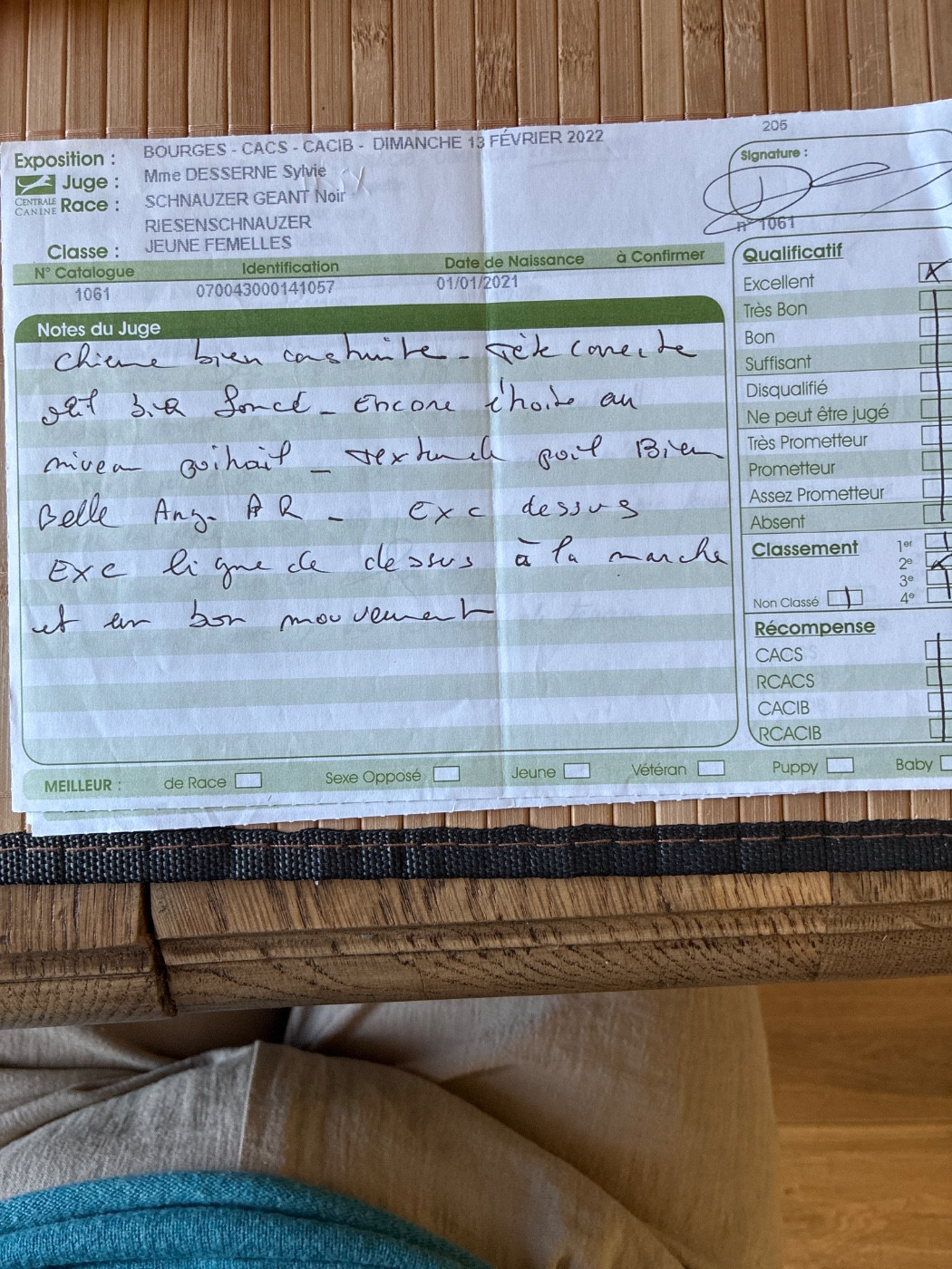 CH. balck almas Xia - 2eme excellent