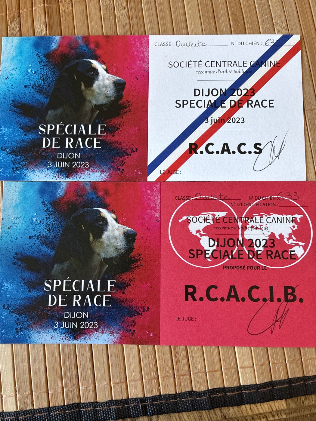 CH. balck almas Xia - RCACS RCACIB