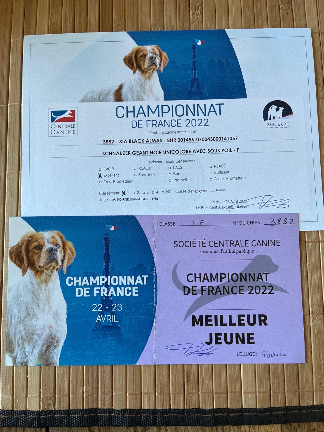 CH. balck almas Xia - 1er excellent meilleur Jeube