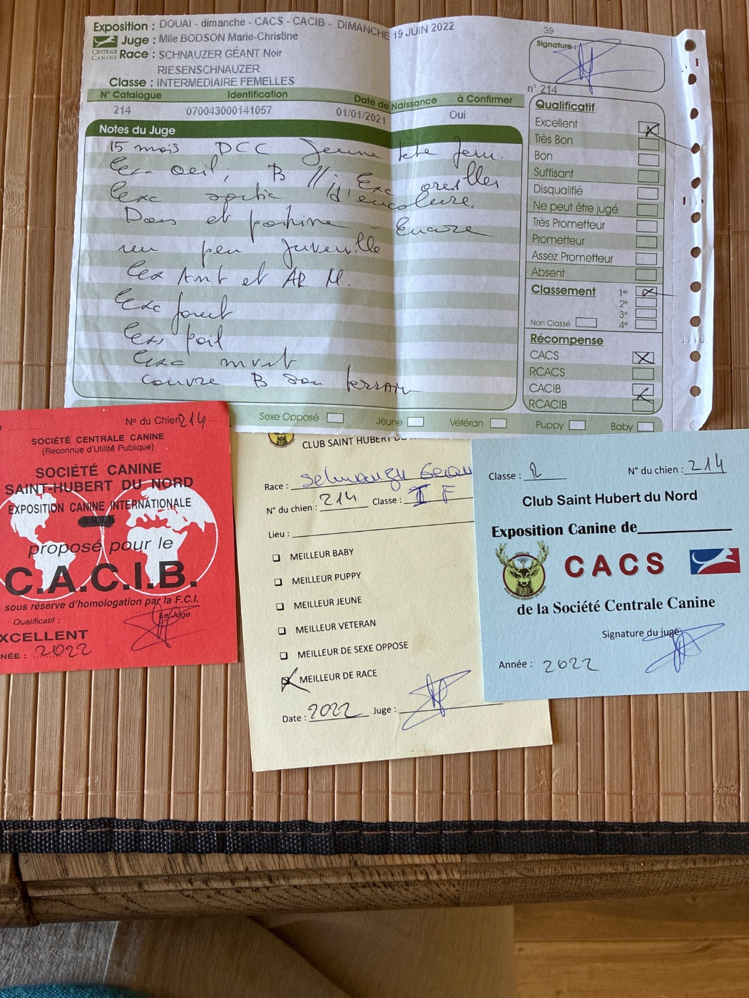 CH. balck almas Xia - CACS CACIB MEILLEUR DE RACE