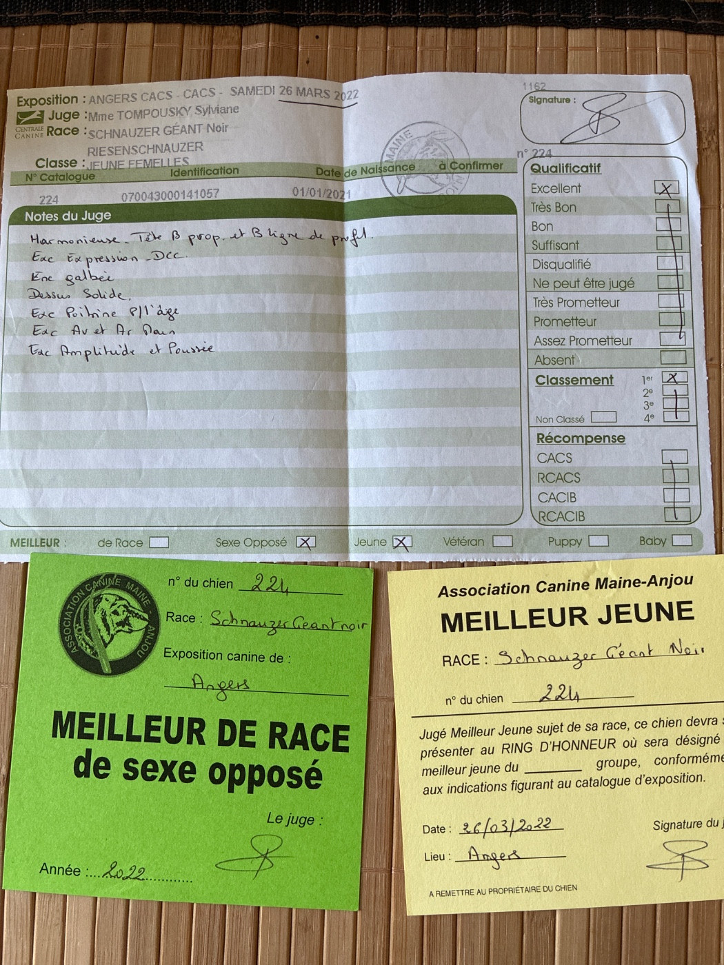 CH. balck almas Xia - 1er excellent meilleur jeune et meilleur sex opposé