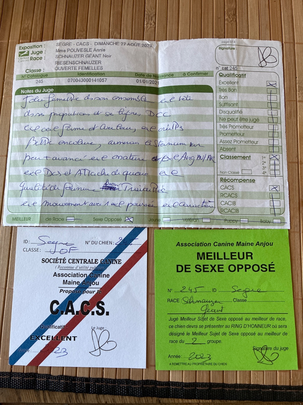 CH. balck almas Xia - 1er excellent CACS MEILLEISEX OPPOSÉ