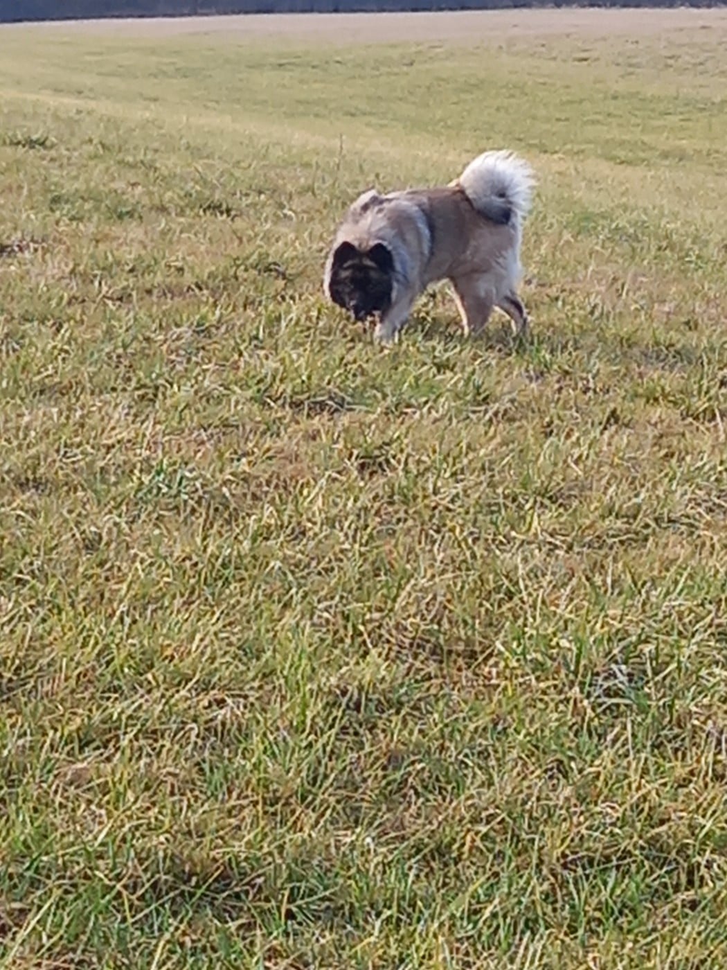 Prisca (Sans Affixe)