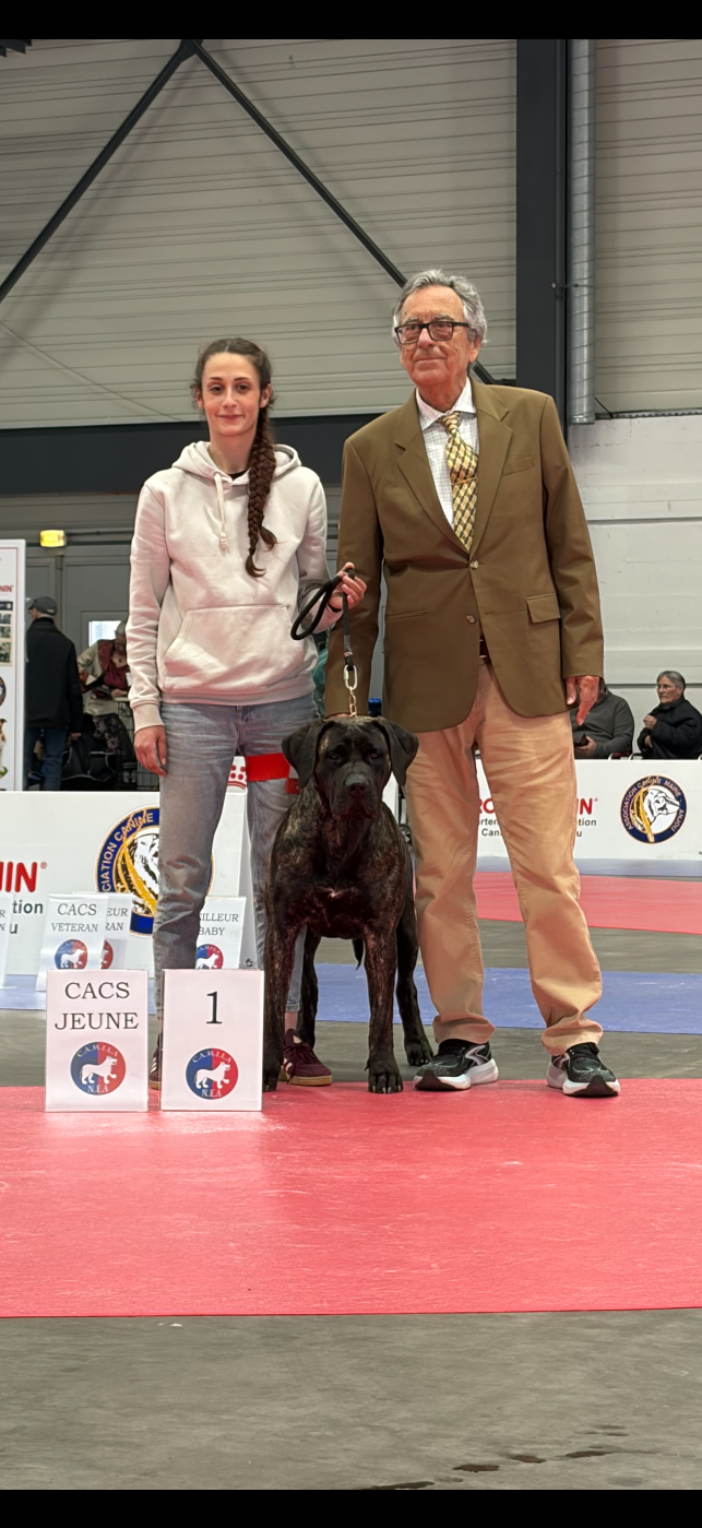 Ahsoka tano Los Nobles Del Norte - 1er excellent, CACS-J, Championne de France jeune