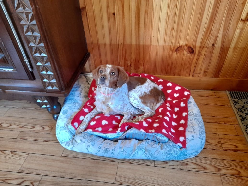 TR. Roxie De La Coupée Du Menier