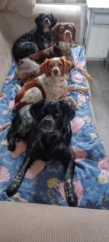 Olye De La Rivière Ouareau