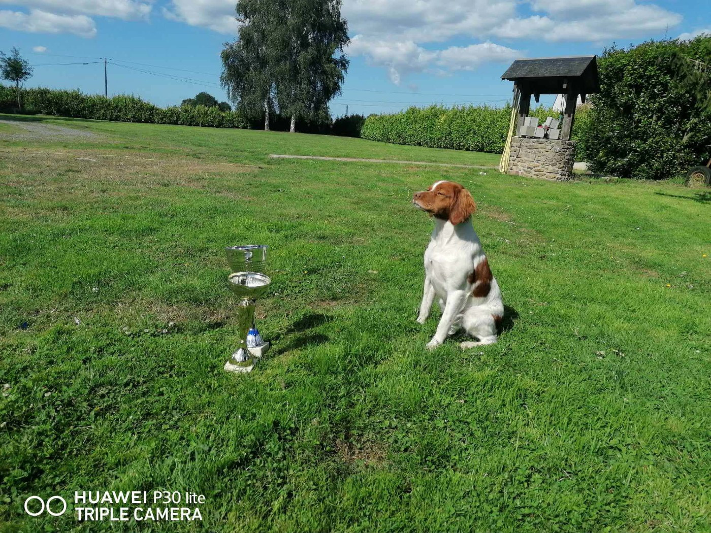 Publication : De Trémaudan