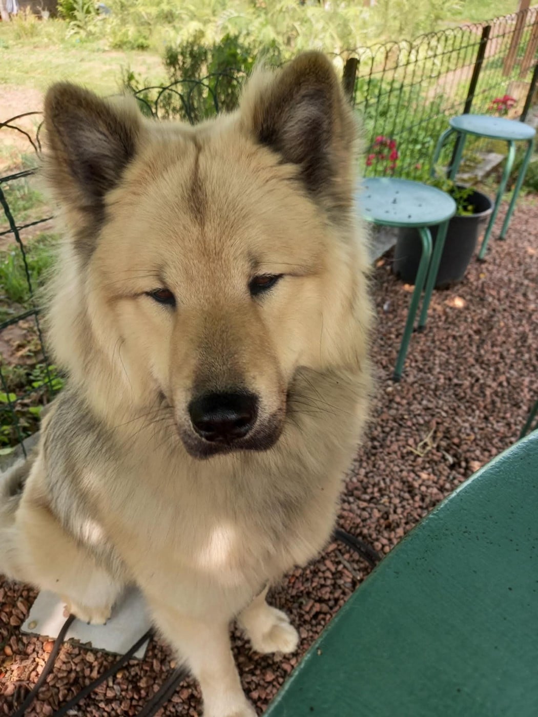 Toopak dit tasko de la legende de gafy (Sans Affixe)