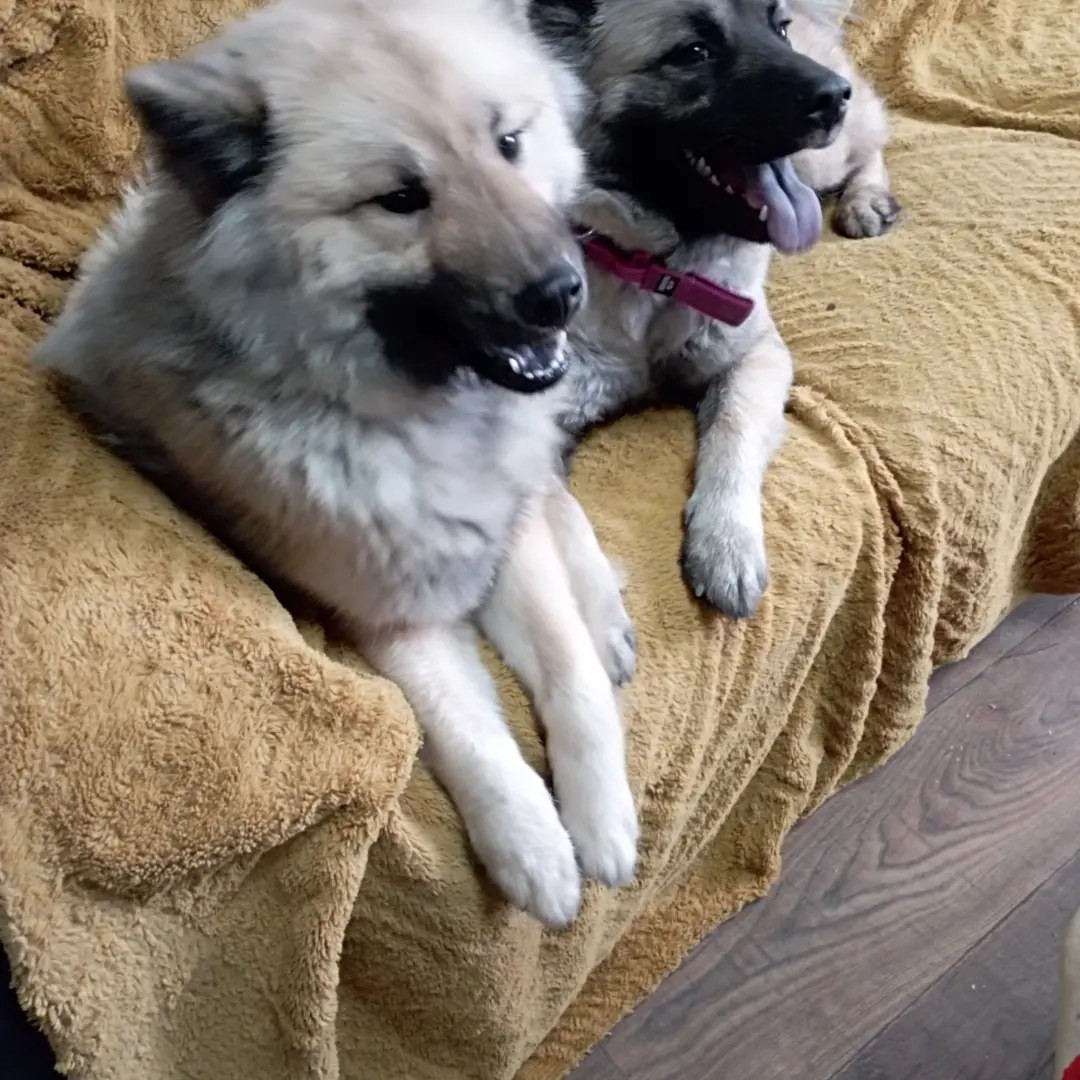 Tasca de la source de l ' aa (Sans Affixe)