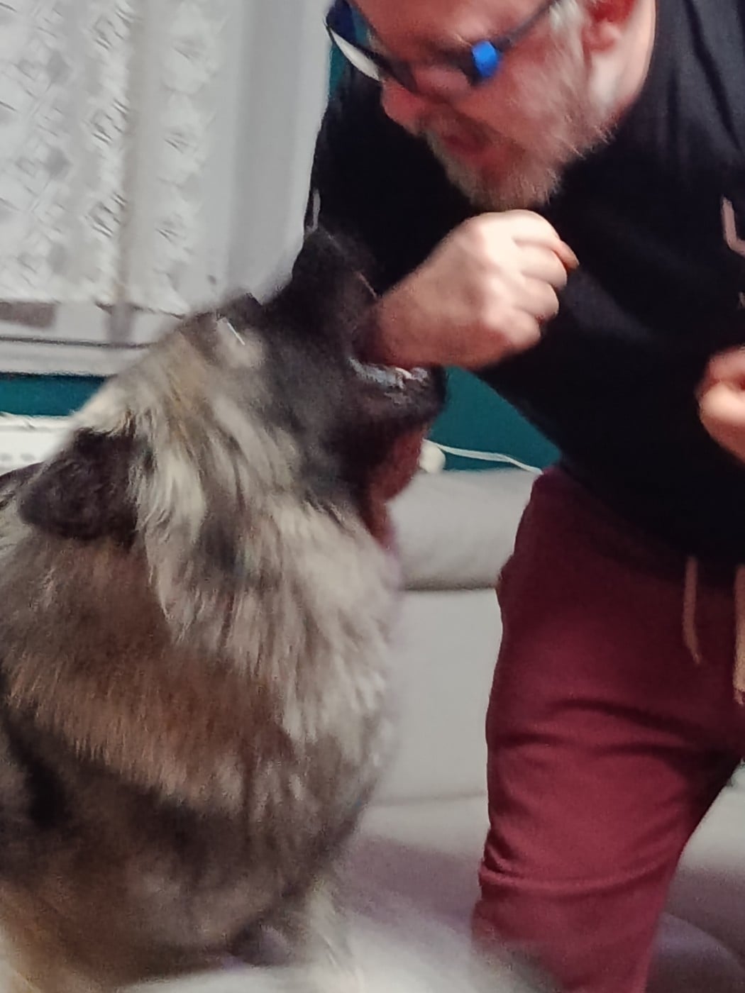 Victoire Des Geants Du Sault