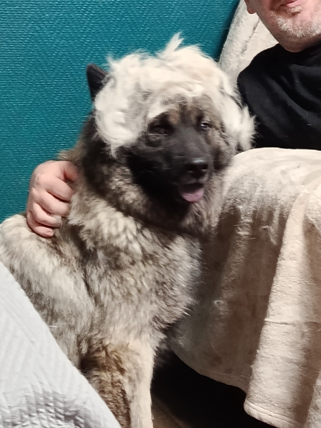 Tiana Du Mistral Normand