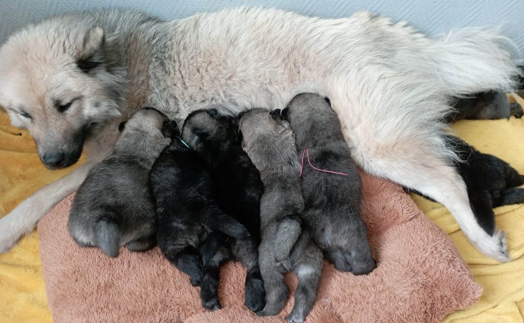 (Sans Affixe) Tasca de la source de l ' aa