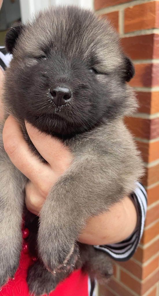 (Sans Affixe) Tasca de la source de l ' aa