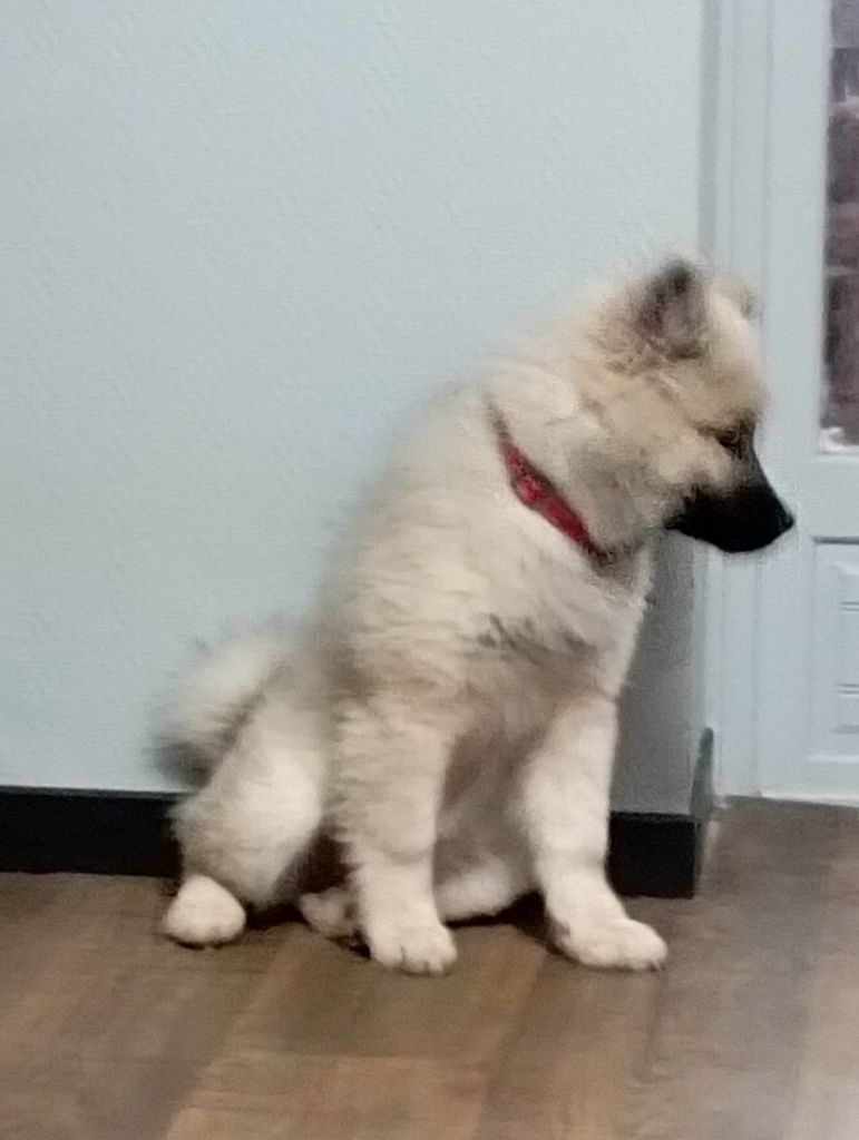 (Sans Affixe) Tasca de la source de l ' aa