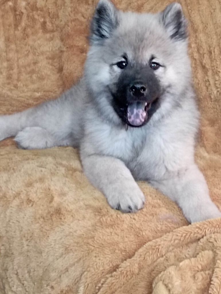 (Sans Affixe) Tasca de la source de l ' aa