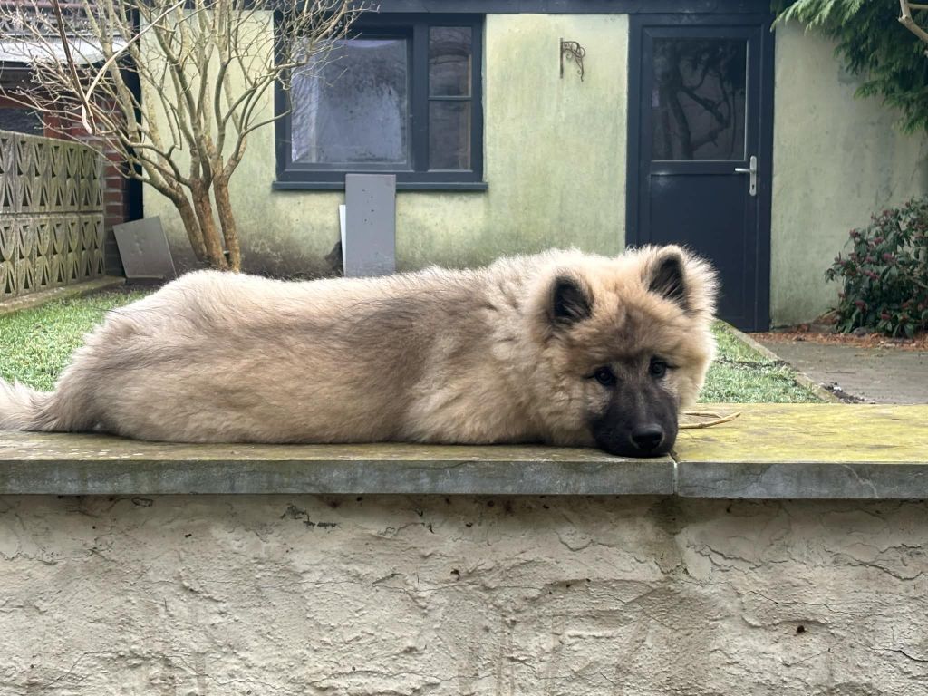 (Sans Affixe) Tasca de la source de l ' aa