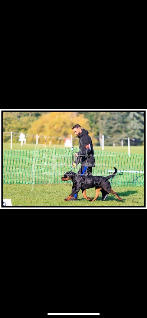 Alpha The Descendants Of The King