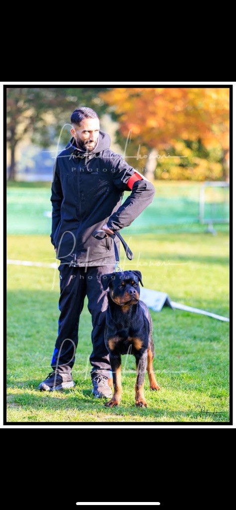 Alpha The Descendants Of The King