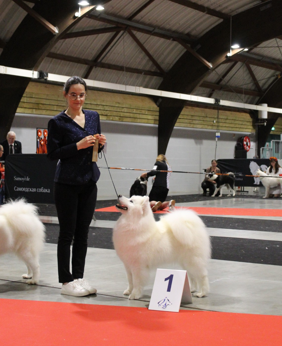 Under the Stars Kuma Swirls Of Light