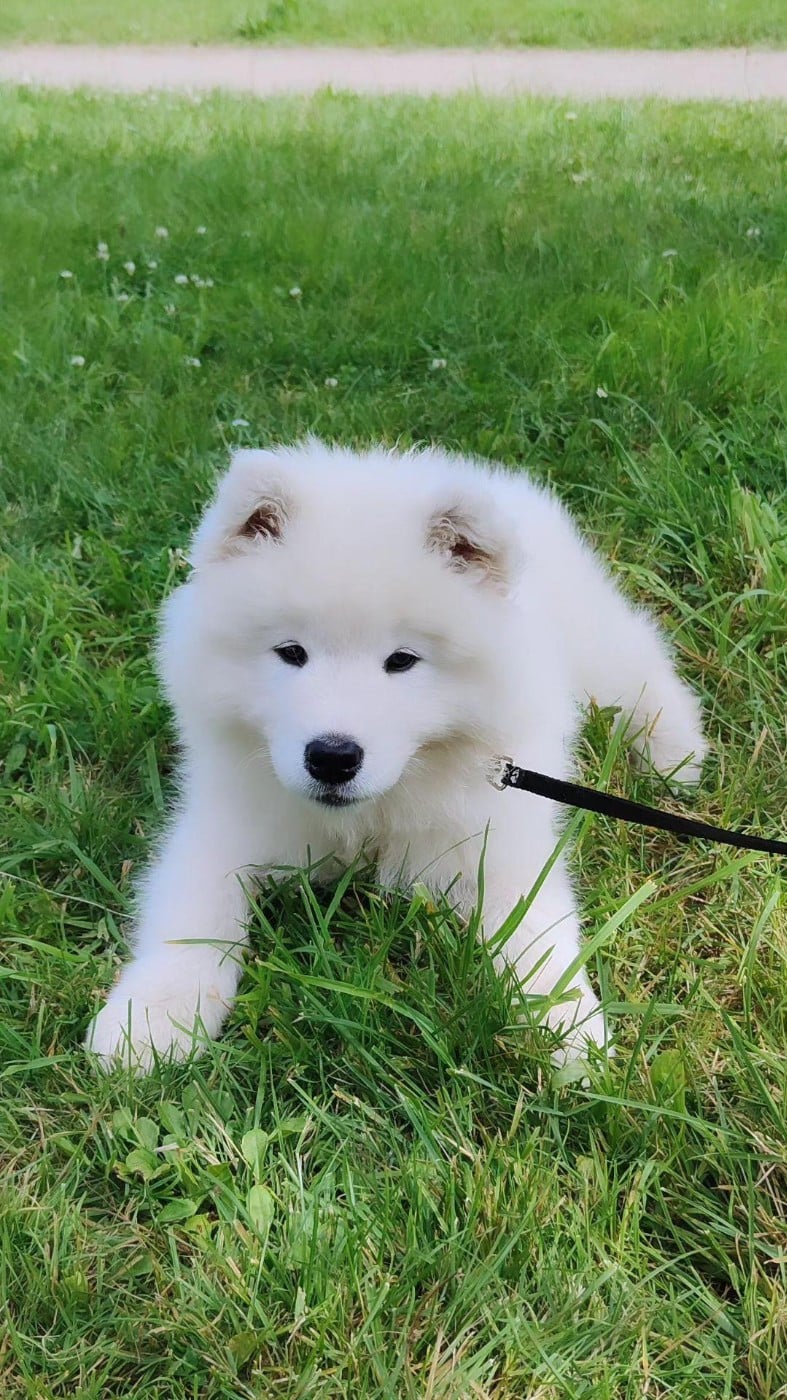 Viaggio idro Swirls Of Light