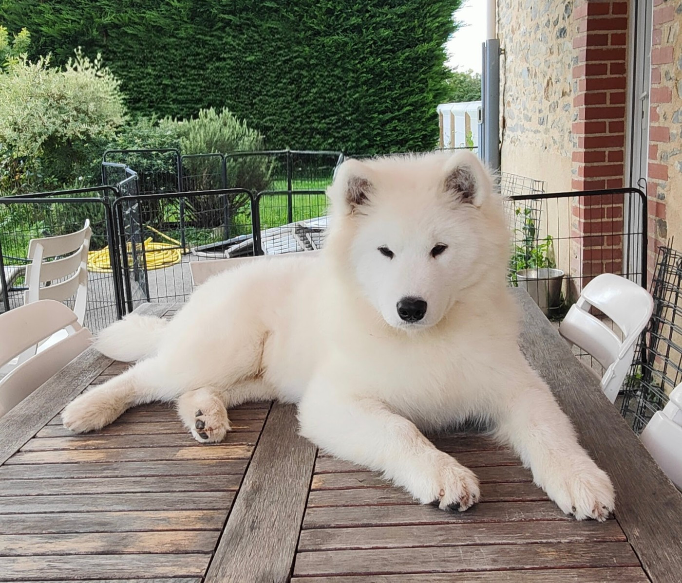 Viaggio idro Swirls Of Light