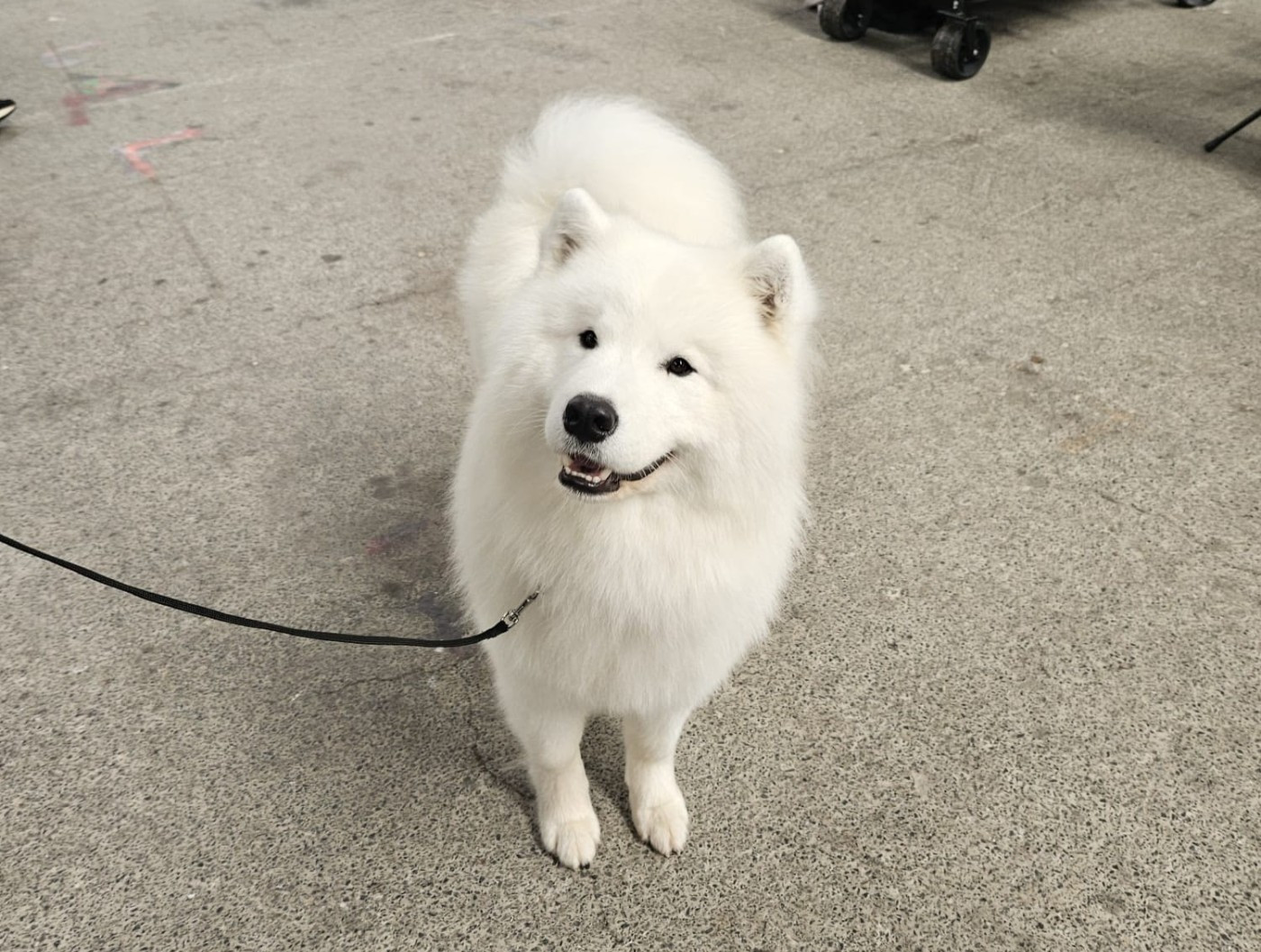 Viaggio idro Swirls Of Light