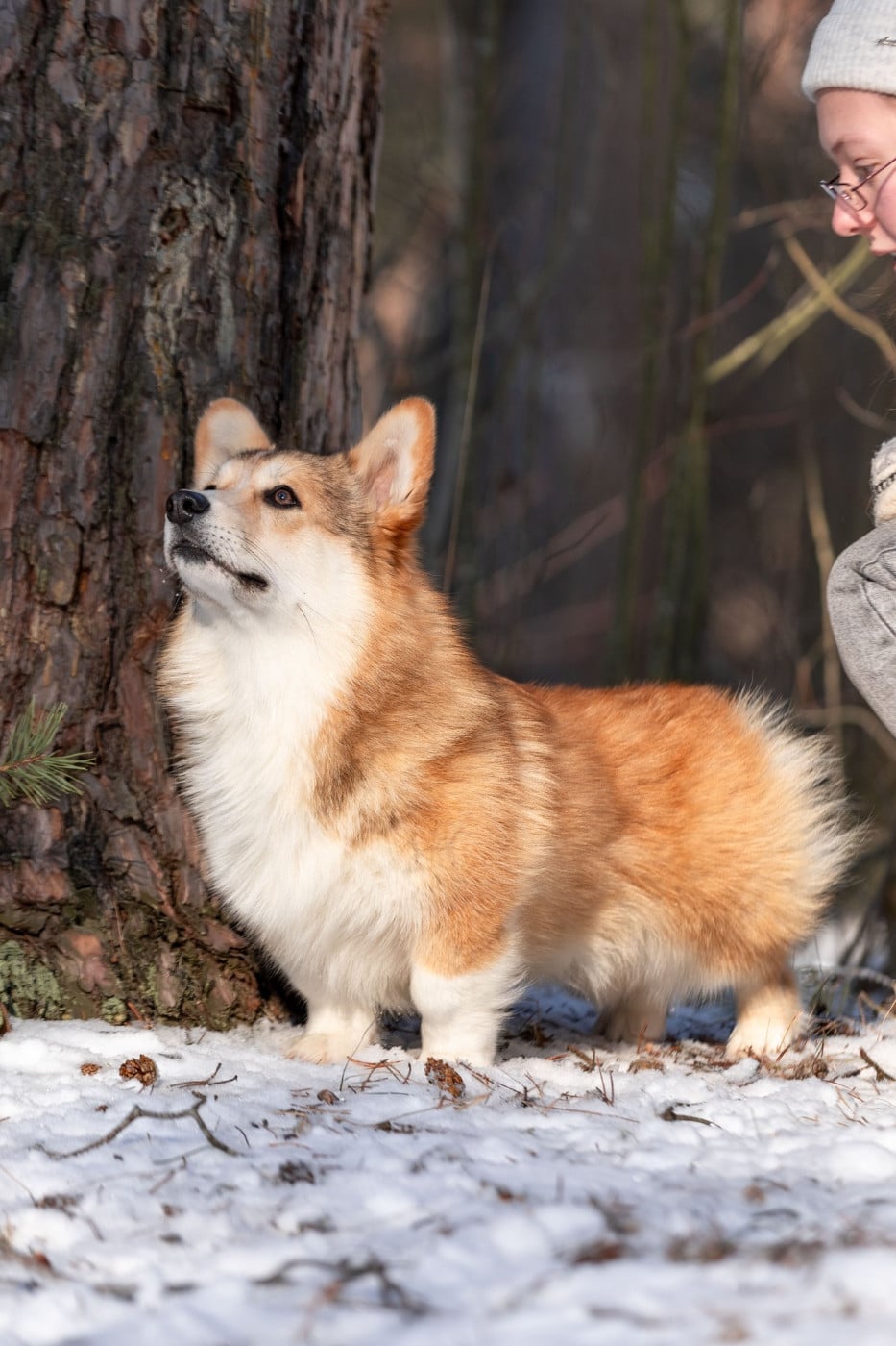 right hunter Keeper of the stars