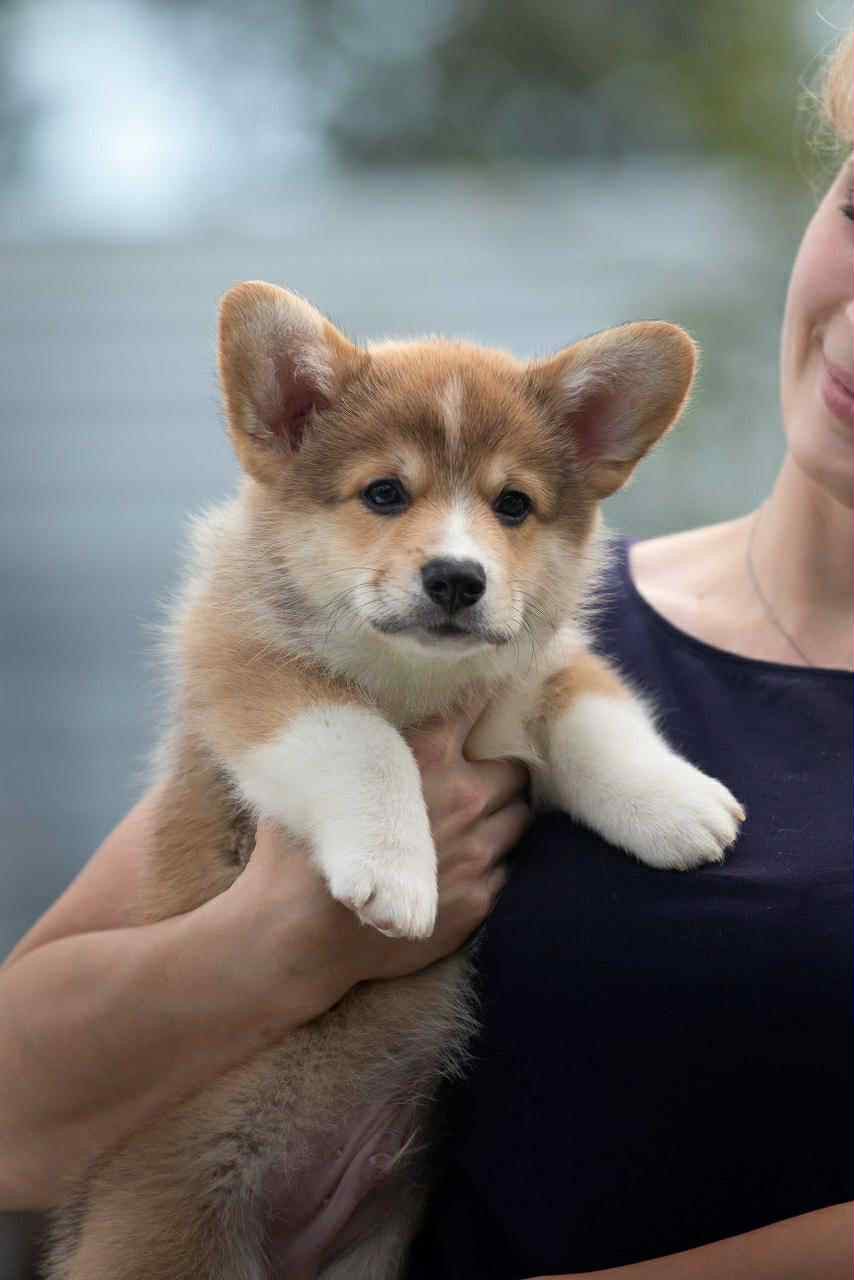 right hunter Keeper of the stars