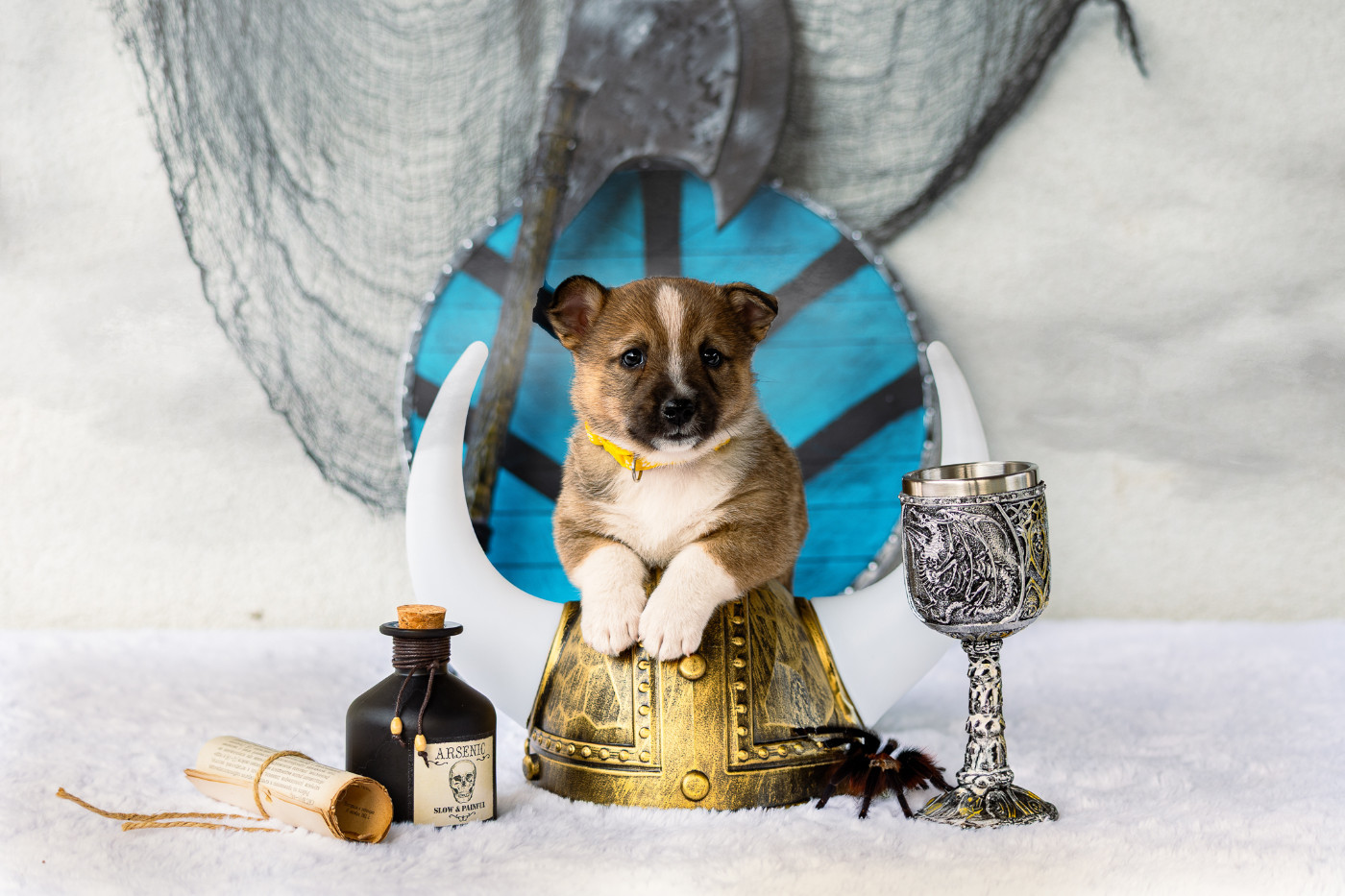 Aelwen Rune of Destiny