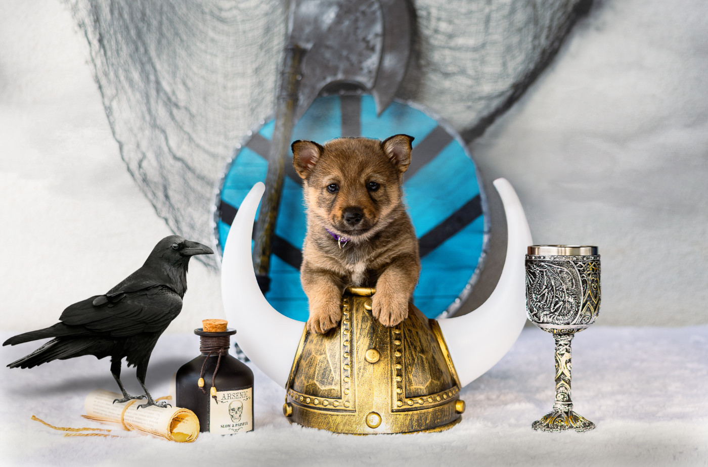 Åse Rune of Secrets