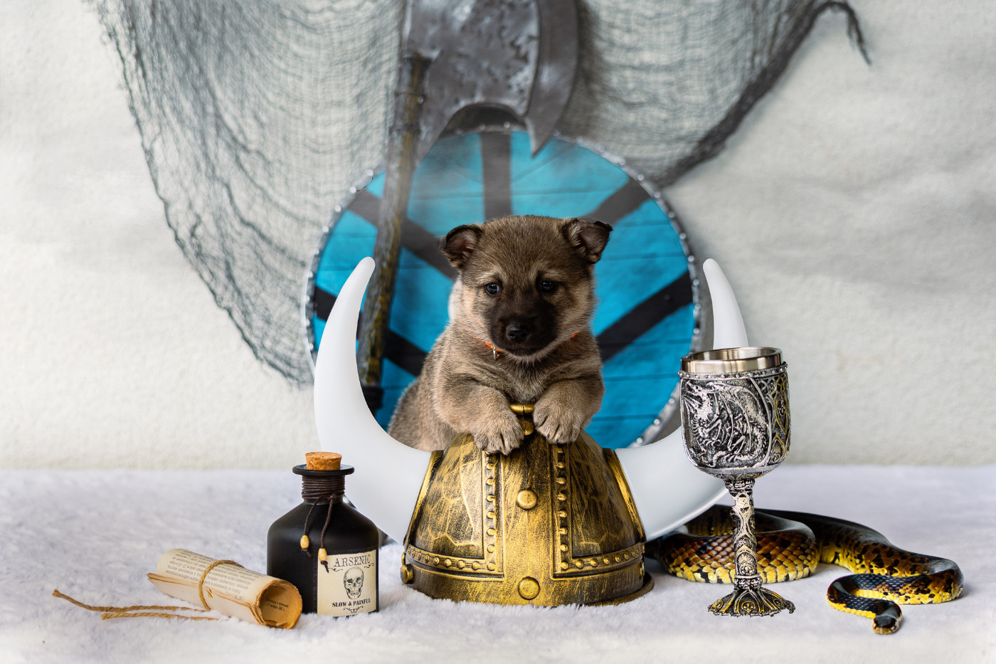 Astrid Rune of Dreams