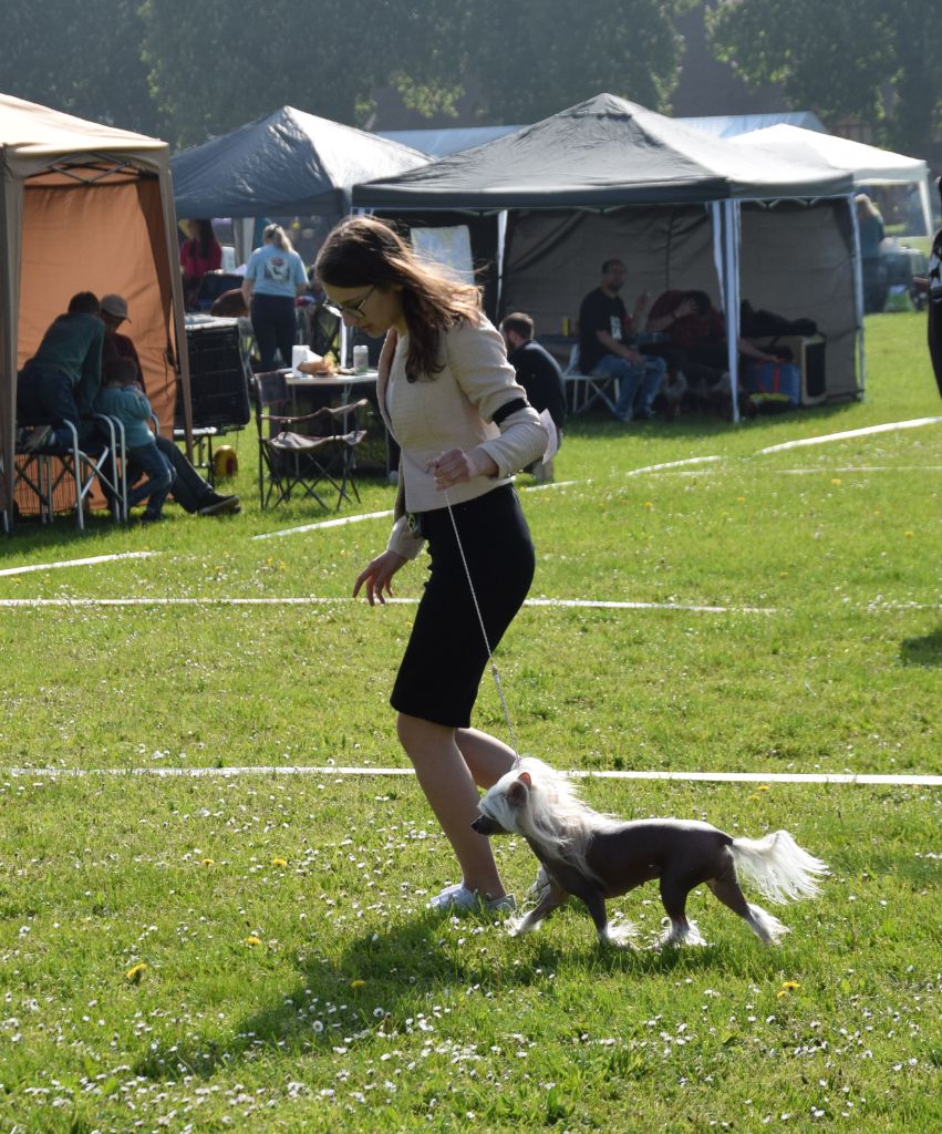 Shalimar Little Champs - 2ème Très bon/3