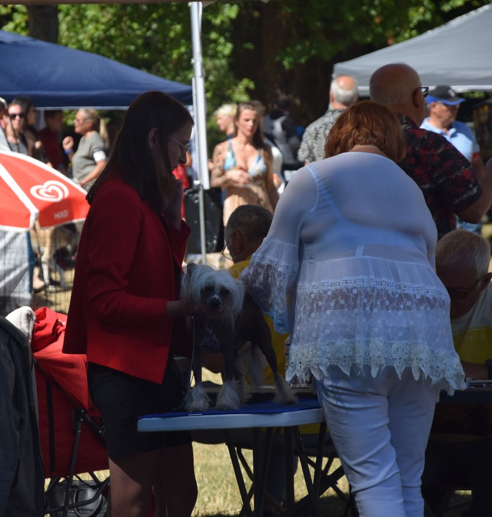 Shalimar Little Champs - 2ème Excellent