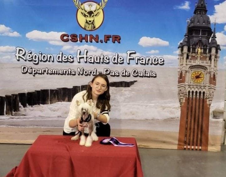 Shalimar Little Champs - Très Prometteur