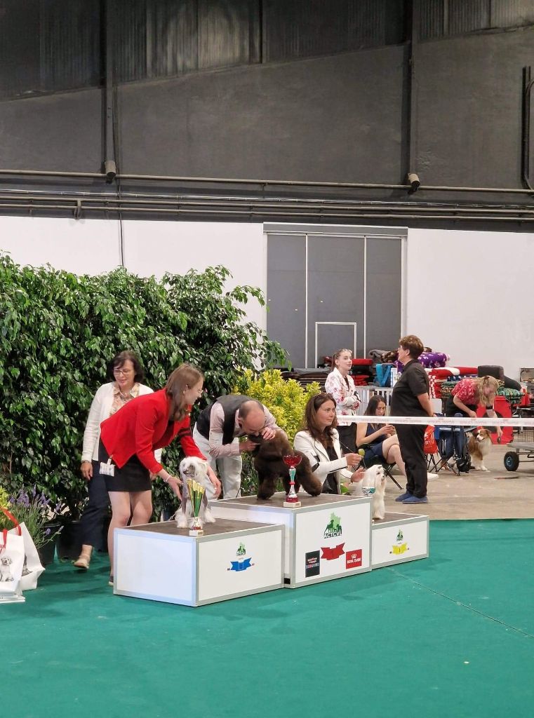 Shalimar Little Champs - 1ère Excellent - Meilleur Jeune - 2ème Meilleur Jeune du groupe 9