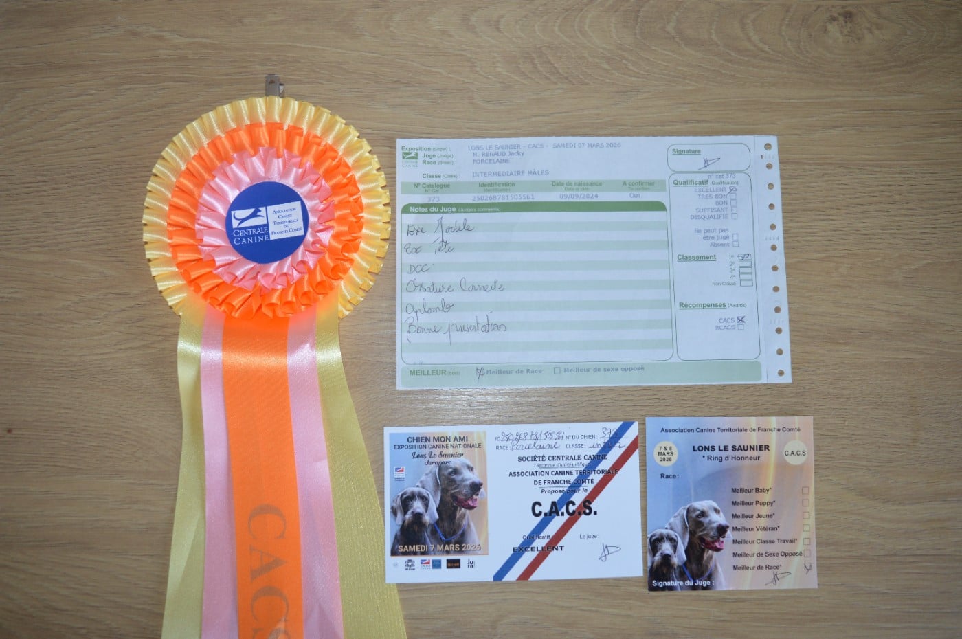 Vasco Du Bois Mulet - 1er EXCELLENT + CACS + MEILLEUR DE RACE