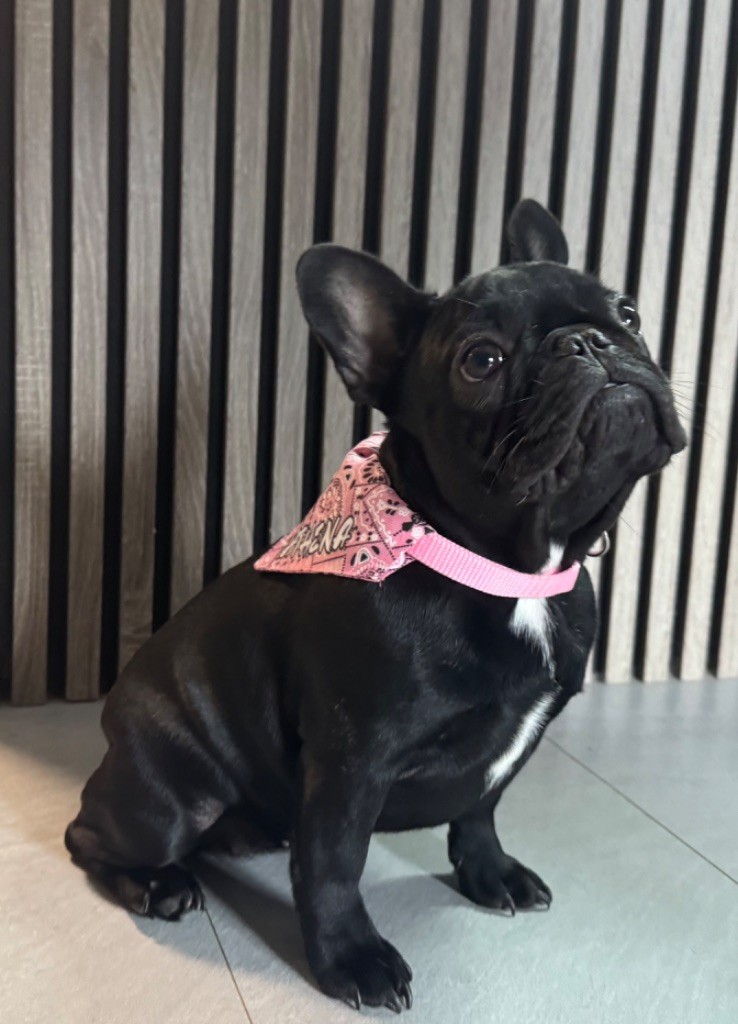 Athena des perles d'Aphrodite