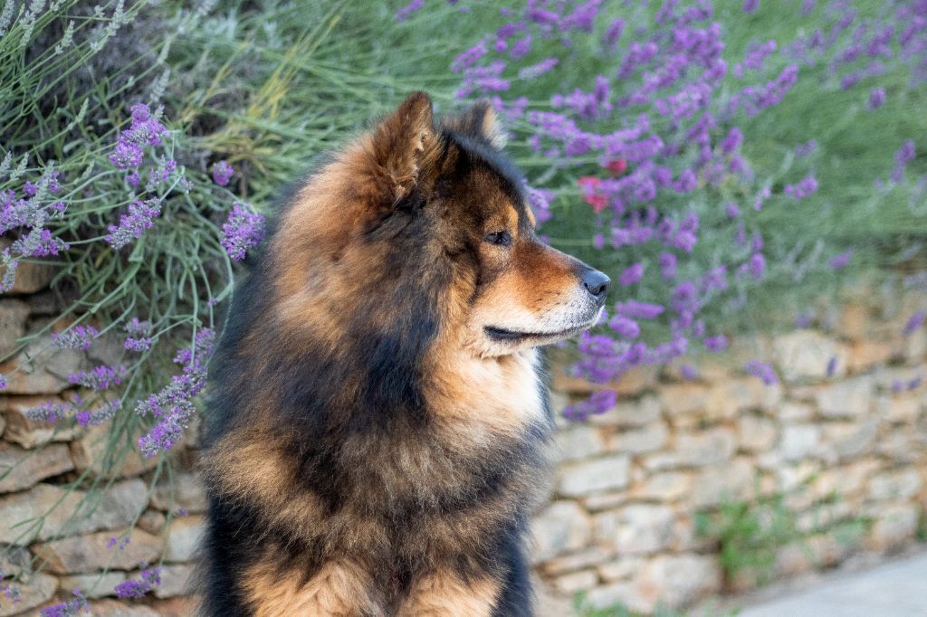 Publication : (Sans Affixe)