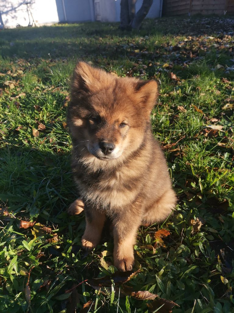 Publication : (Sans Affixe)