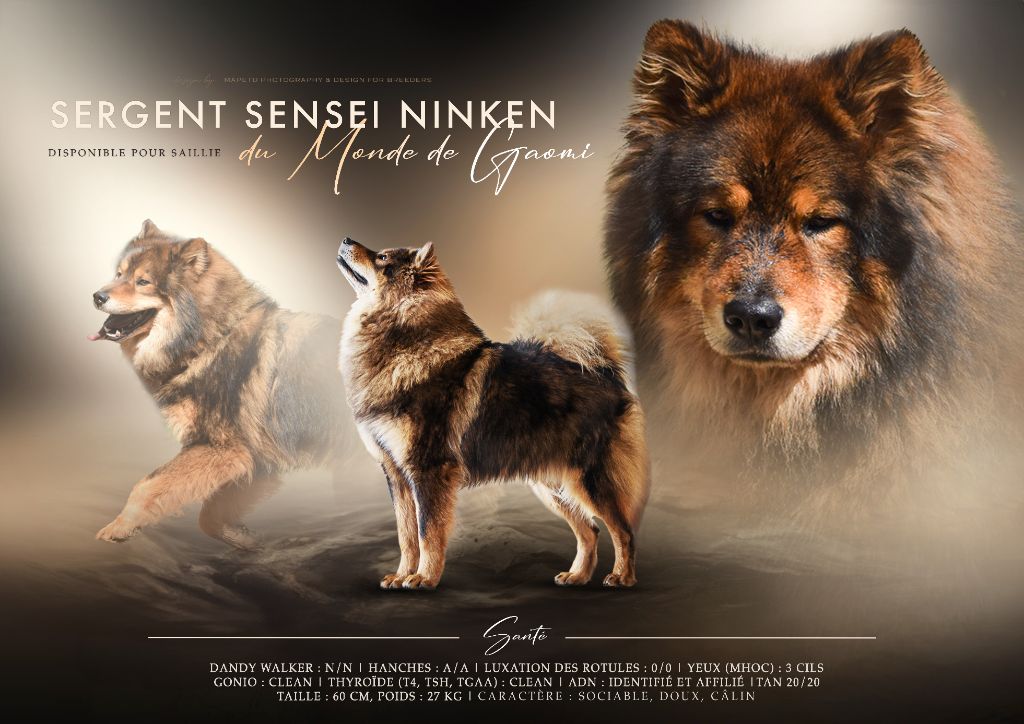 Publication : (Sans Affixe)