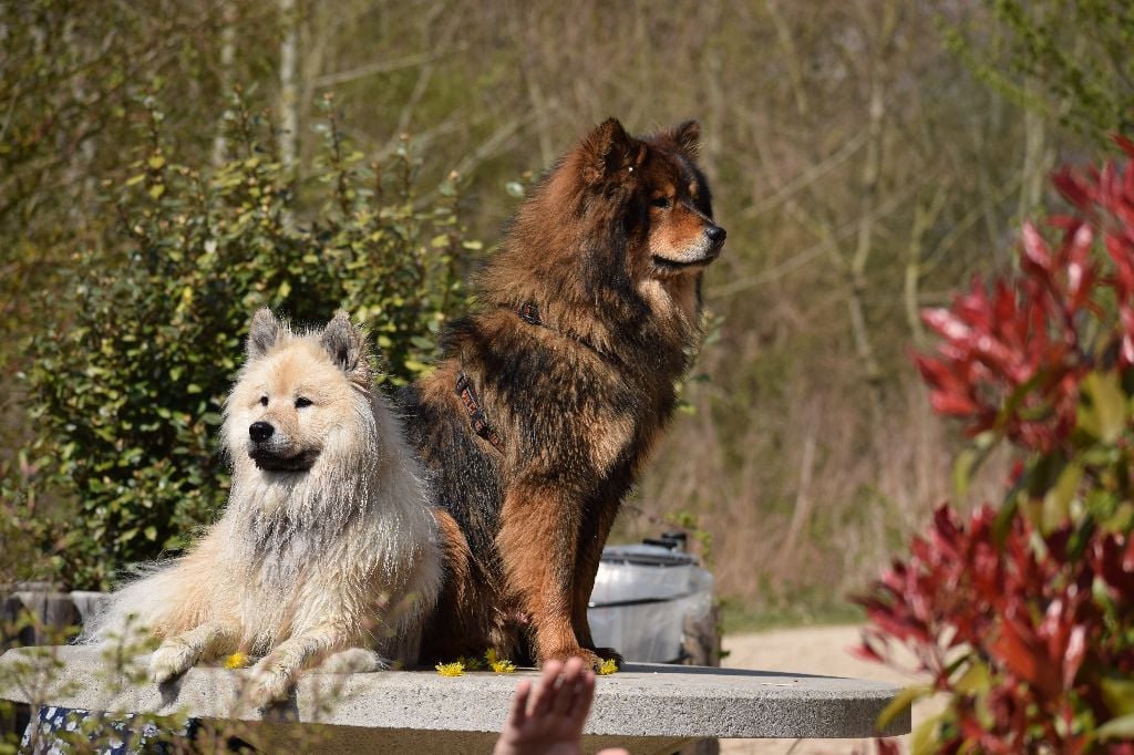 Publication : (Sans Affixe)