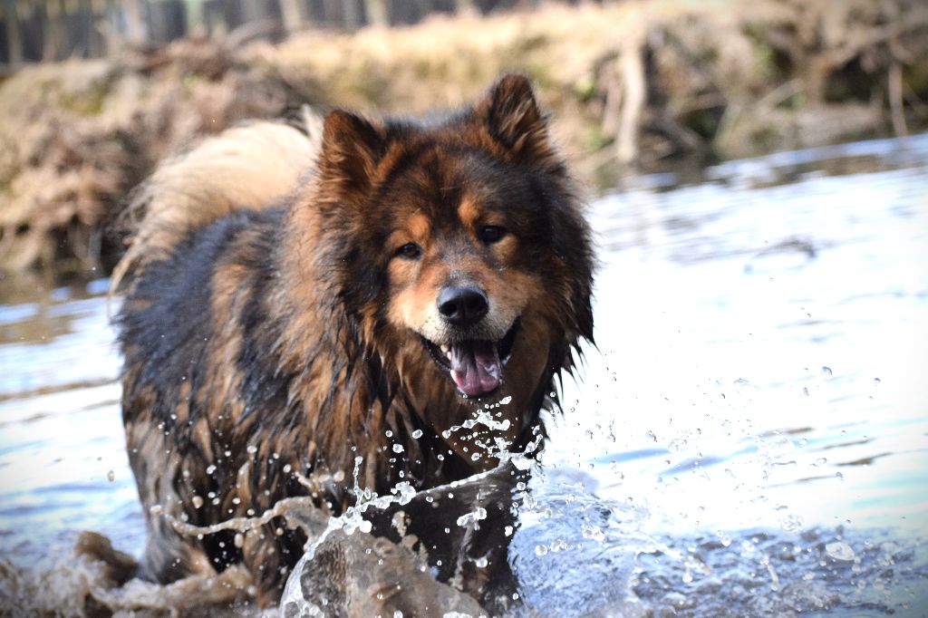 Publication : (Sans Affixe)