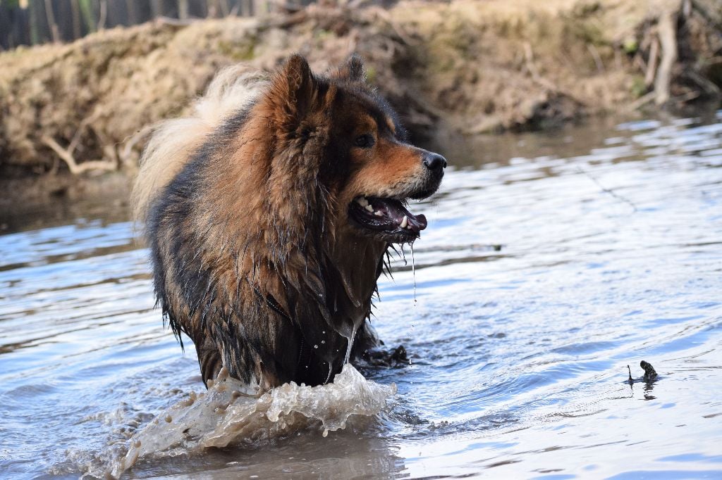 Publication : (Sans Affixe)