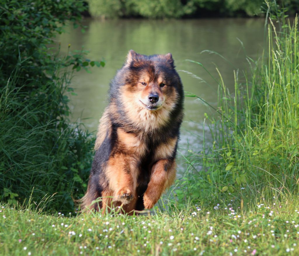 Publication : (Sans Affixe)