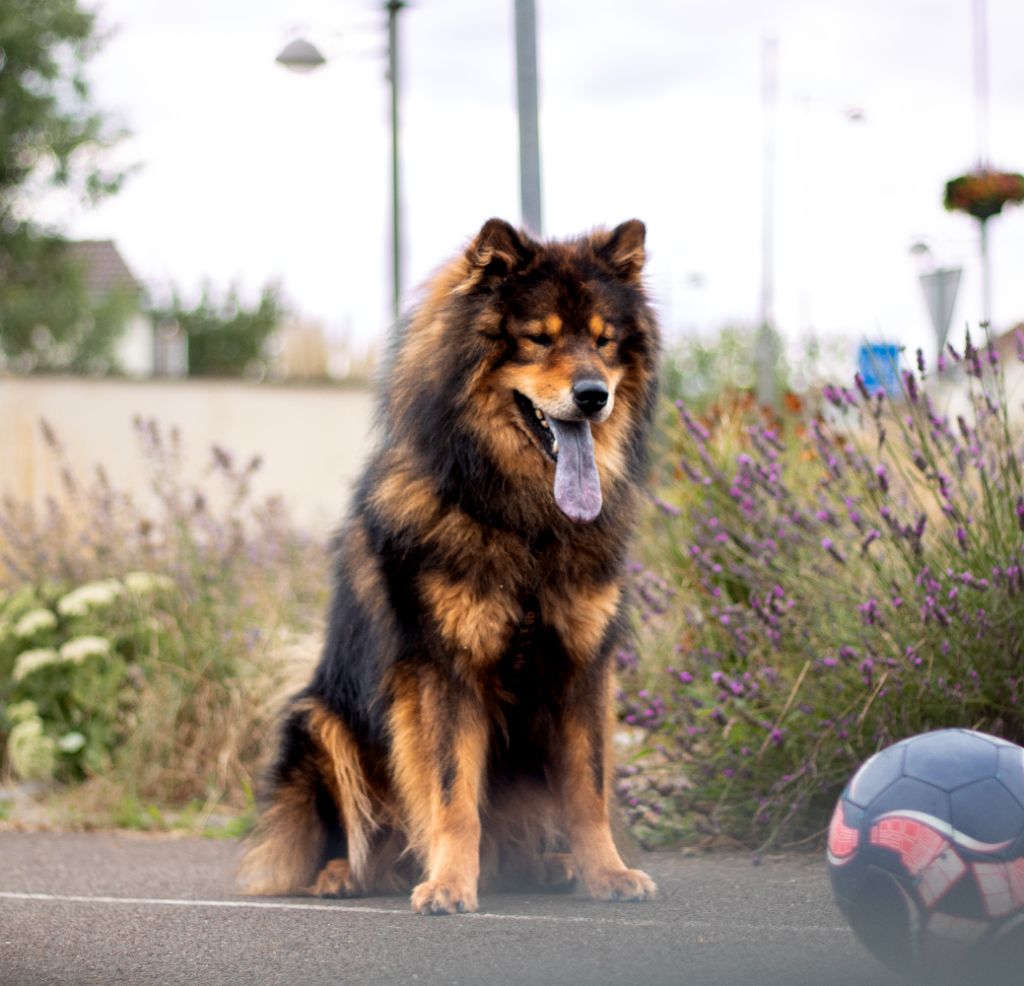 Publication : (Sans Affixe)