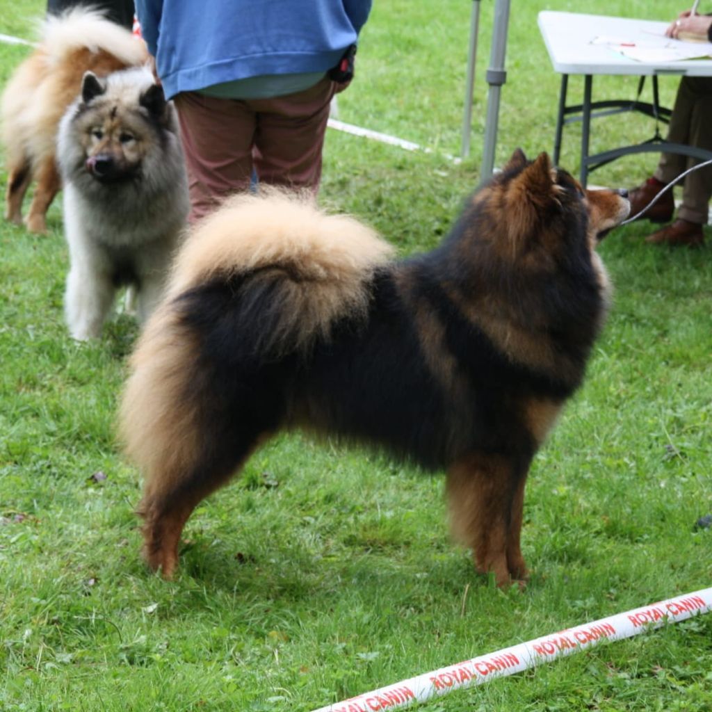 Publication : (Sans Affixe)