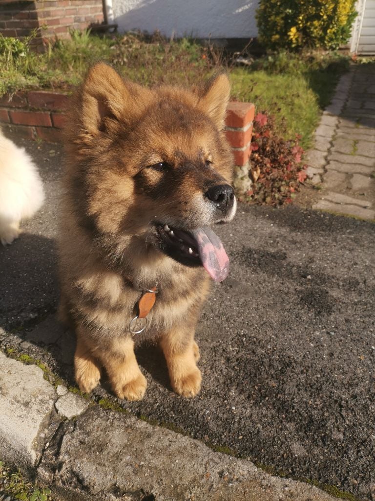 Publication : (Sans Affixe)