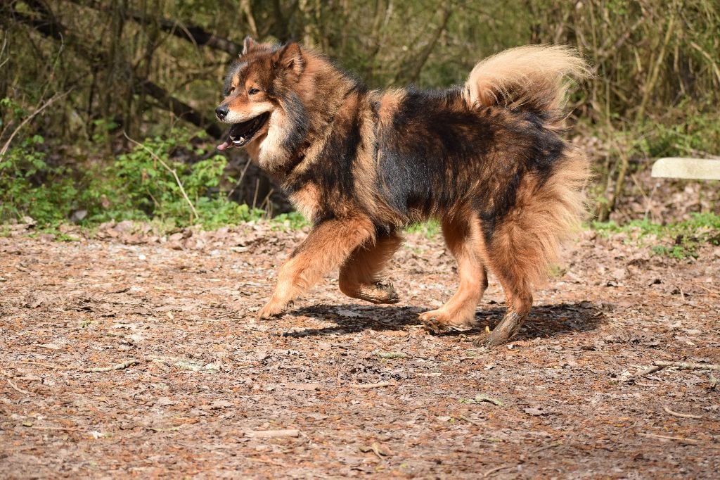 Publication : (Sans Affixe)