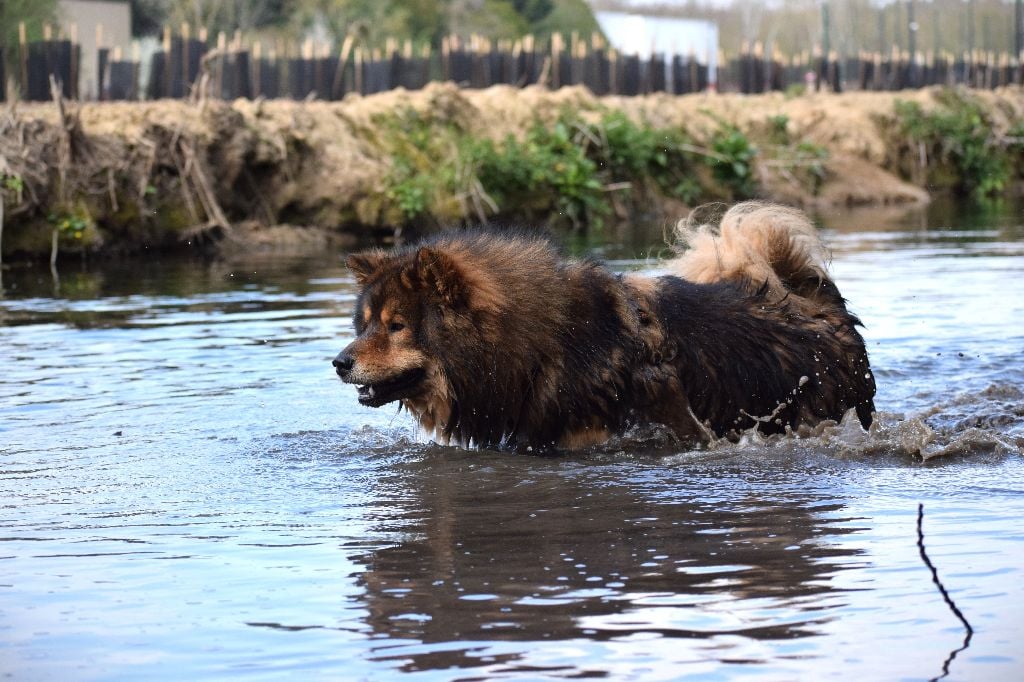 Publication : (Sans Affixe)